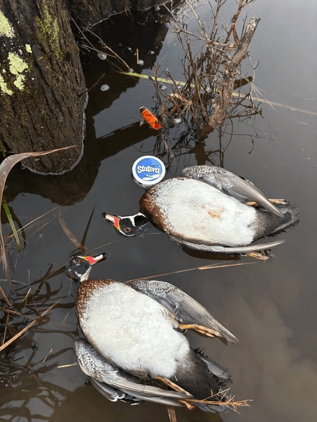 The Hunter's Secret Weapon: Why Caffeine Pouches Are Replacing Energy Drinks in the Blind